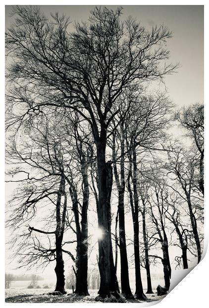 winter trees Print by Simon Johnson
