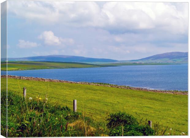 The Loch of Stenness Canvas Print by Steven Watson