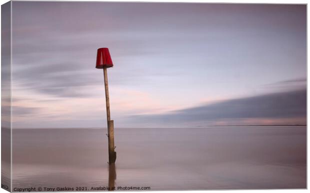 Tranquil Tide, Lincolnshire Canvas Print by Tony Gaskins