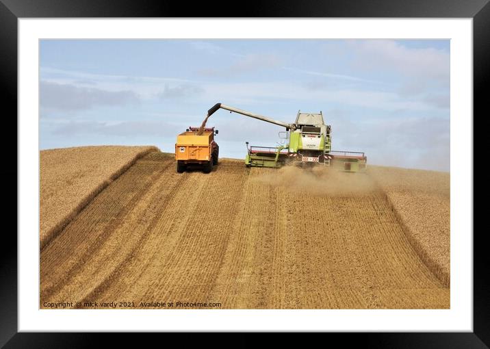 Harvesting wheat in Northumberland. Framed Mounted Print by mick vardy