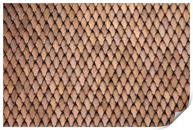 Traditional Wooden Viking Roof Abstract Print by Artur Bogacki