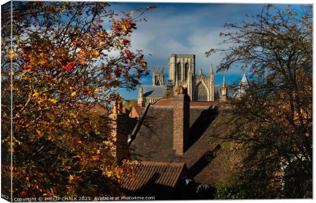 York Minster in Autumn from the bar walls 102  Canvas Print by PHILIP CHALK