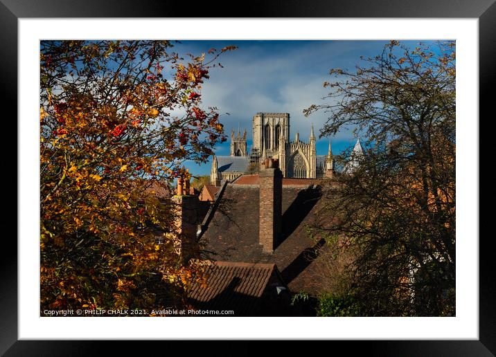 York Minster in Autumn from the bar walls 102  Framed Mounted Print by PHILIP CHALK