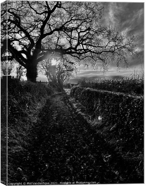 Winter Devon lane Canvas Print by Phil Vandenhove