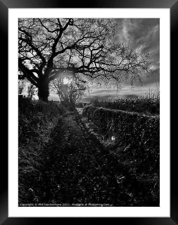 Winter Devon lane Framed Mounted Print by Phil Vandenhove