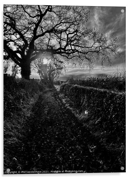 Winter Devon lane Acrylic by Phil Vandenhove