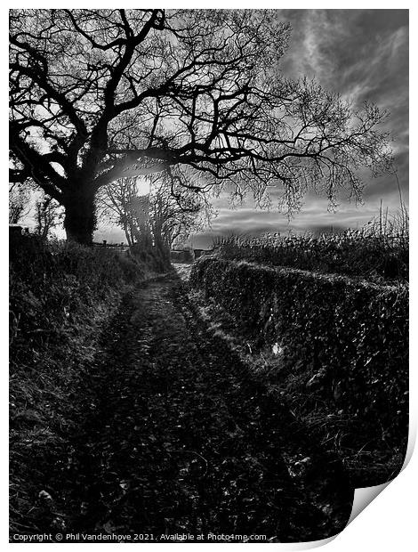 Winter Devon lane Print by Phil Vandenhove