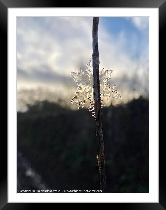 Ice Crystal  Framed Mounted Print by Phil Vandenhove