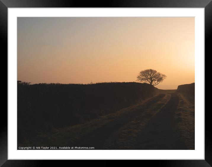 Farm track at sunrise Framed Mounted Print by Nik Taylor