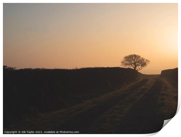 Farm track at sunrise Print by Nik Taylor