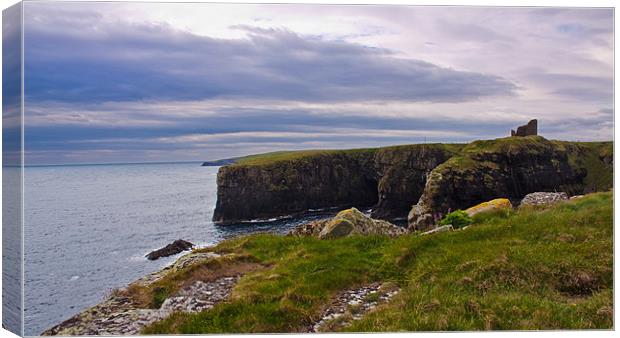 Old Wick Castle and cliffs landscape, Scotland Canvas Print by Linda More