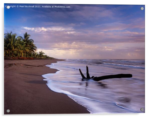 Tortuguero Beach at Sunrise Costa Rica Acrylic by Pearl Bucknall