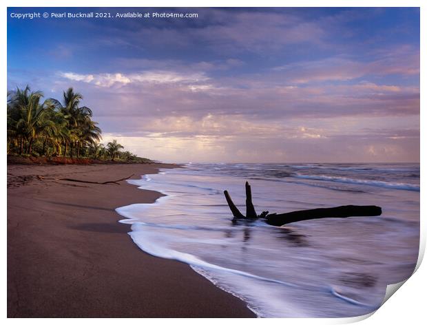 Tortuguero Beach at Sunrise Costa Rica Print by Pearl Bucknall