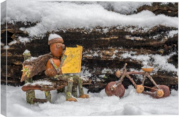 Little Acorn Man Reading Newspaper in the Snow Canvas Print by Arterra 