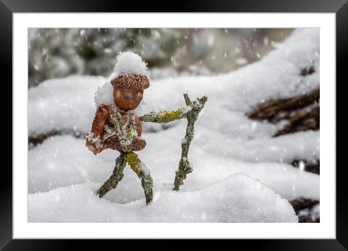 Little Acorn Man Hiking in the Snow Framed Mounted Print by Arterra 