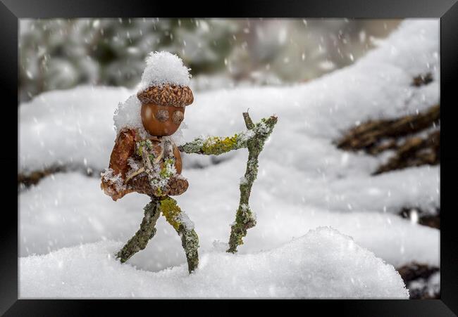 Little Acorn Man Hiking in the Snow Framed Print by Arterra 