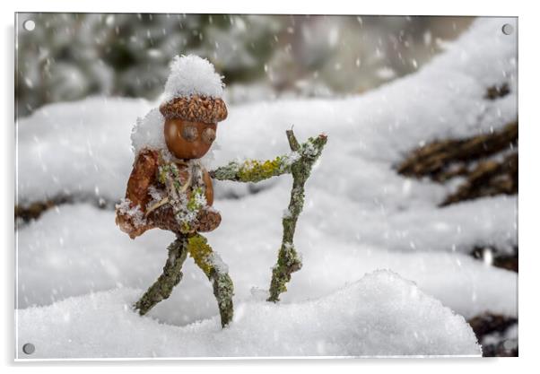 Little Acorn Man Hiking in the Snow Acrylic by Arterra 