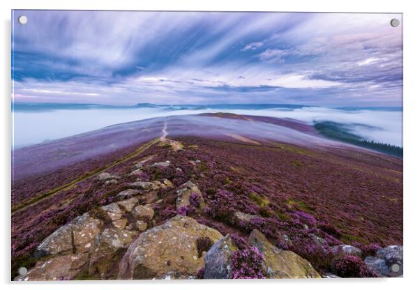 Purple carpet at Dawn. Win Hill, Derbyshire Acrylic by John Finney