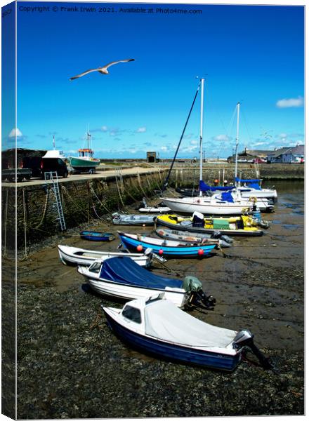 The beautiful harbour of Aberaeron Canvas Print by Frank Irwin