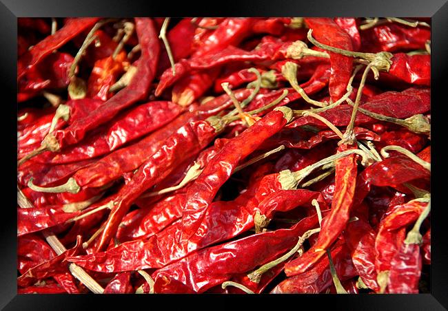 Red Chillies Drying in Kathmandu Framed Print by Serena Bowles