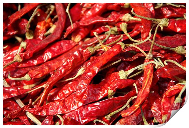 Red Chillies Drying in Kathmandu Print by Serena Bowles