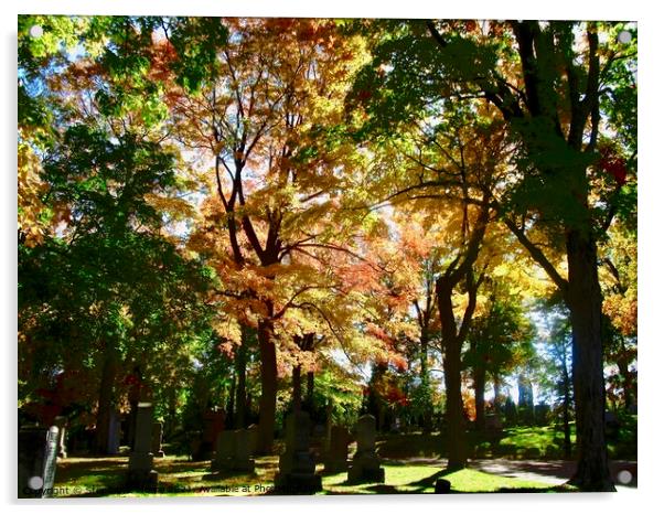 Fall in Beechwood Cemetery Acrylic by Stephanie Moore