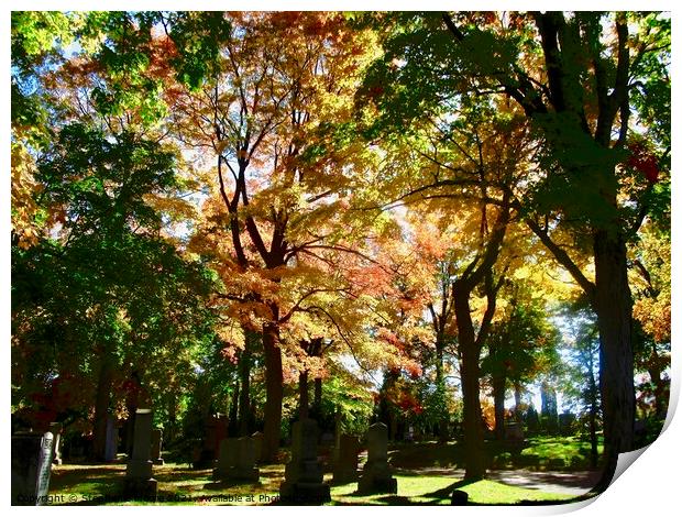 Fall in Beechwood Cemetery Print by Stephanie Moore