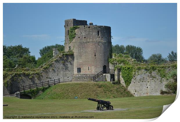 Caldicot castle!  Print by Nadeesha Jayamanne