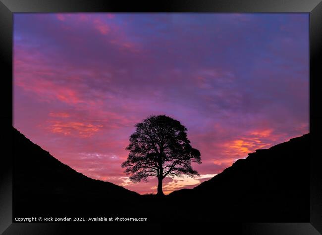 Majestic Sunrise at Sycamore Gap Framed Print by Rick Bowden