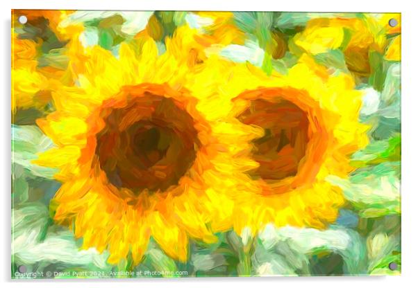 Sunflower Dream Art Acrylic by David Pyatt