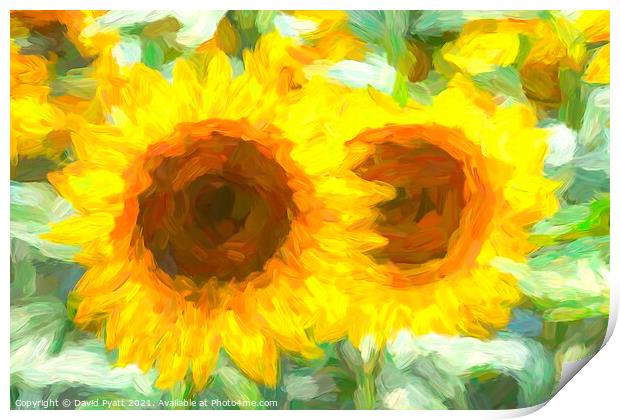 Sunflower Dream Art Print by David Pyatt