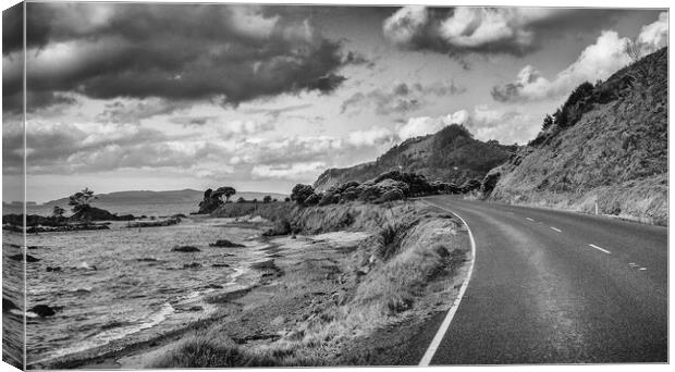Coastal road in New Zealand Canvas Print by Michelle PREVOT