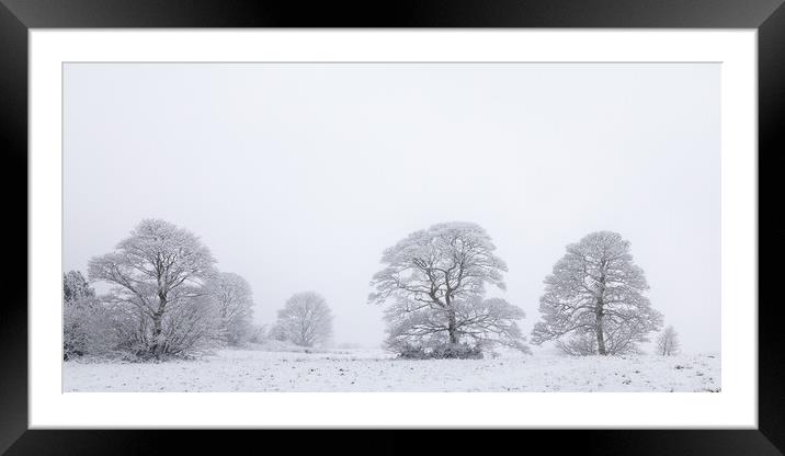 Oak Trees In a Snow Storm Framed Mounted Print by Phil Durkin DPAGB BPE4