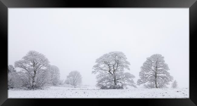 Oak Trees In a Snow Storm Framed Print by Phil Durkin DPAGB BPE4