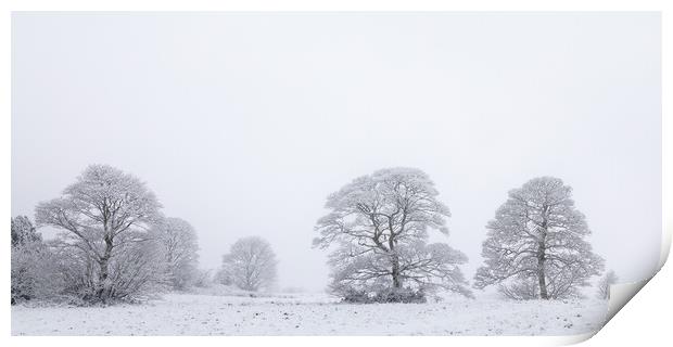 Oak Trees In a Snow Storm Print by Phil Durkin DPAGB BPE4