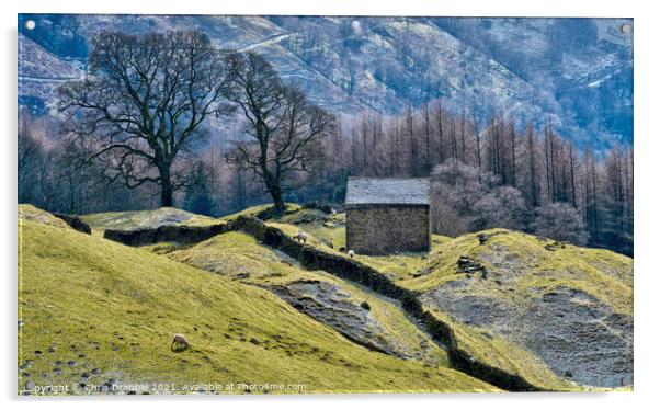 Bell Hagg Barn Acrylic by Chris Drabble