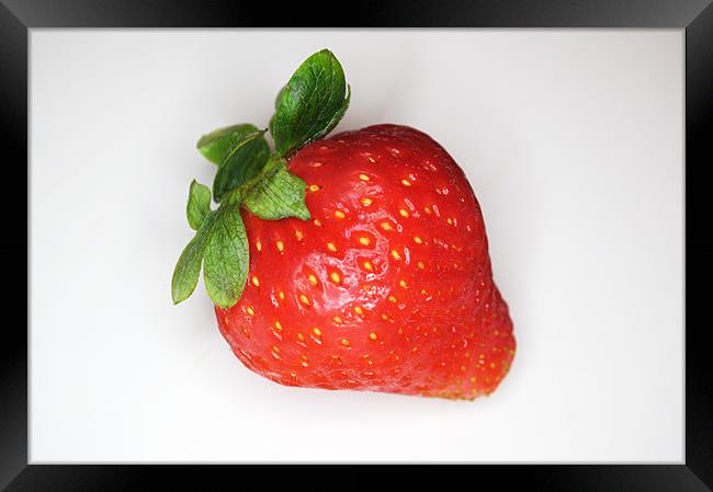Lone Strawberry Framed Print by Chris Day