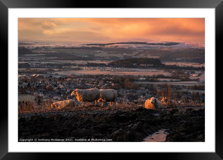 Sunrise over Stirling  Framed Mounted Print by Anthony McGeever
