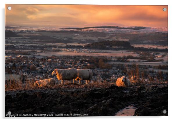 Sunrise over Stirling  Acrylic by Anthony McGeever