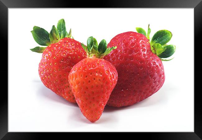 Three Strawberries Framed Print by Chris Day