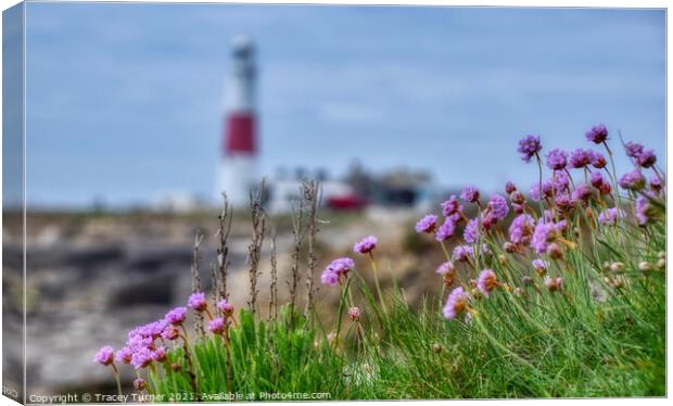 Pink Perfection at Portland Bill Canvas Print by Tracey Turner