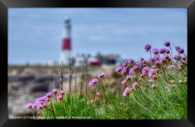 Pink Perfection at Portland Bill Framed Print by Tracey Turner