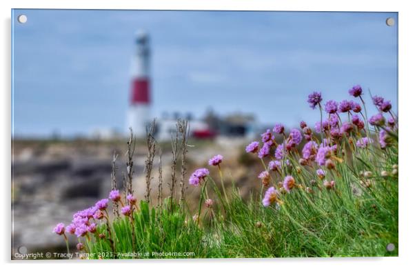Pink Perfection at Portland Bill Acrylic by Tracey Turner