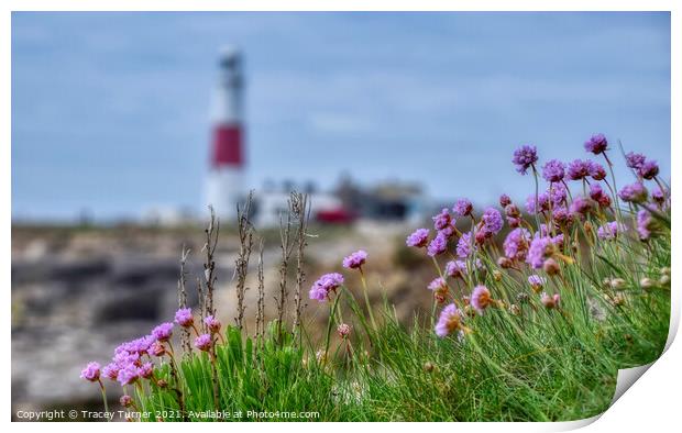 Pink Perfection at Portland Bill Print by Tracey Turner