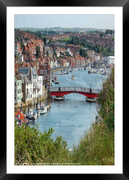Scenic Whitby  Framed Mounted Print by Sue Walker