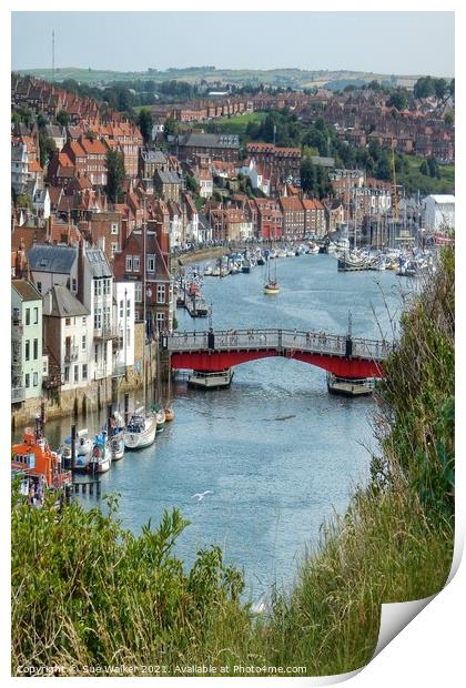 Scenic Whitby  Print by Sue Walker