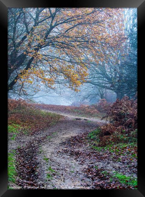 Path through Late Autumn Forest Framed Print by Jonathan Bird