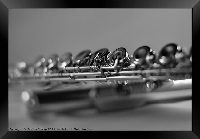 Monotone Flute Framed Print by Reidy's Photos