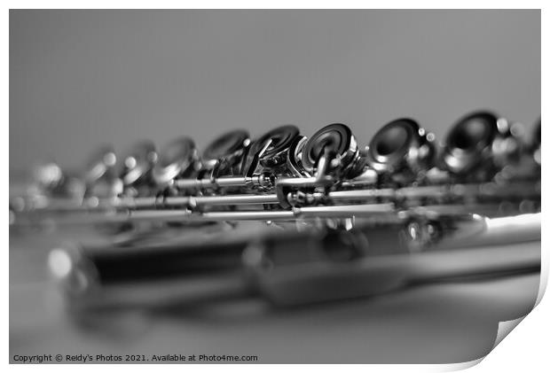 Monotone Flute Print by Reidy's Photos