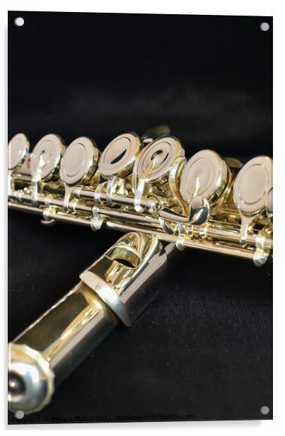 Golden Silver Flute Acrylic by Reidy's Photos